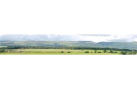 208D Hills And Dales Backscene Pack D 10 Feet x 9 Inches OO Gauge 
