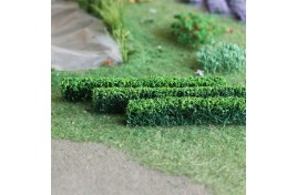Green Hedges (6)
