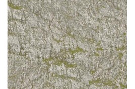 Wrinkle Rocks Seiser Alm 45x25.5cm