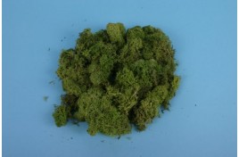 Lichen - Light Green  80g