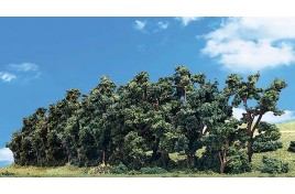 Classic Trees Hedgerow Small/Medium 